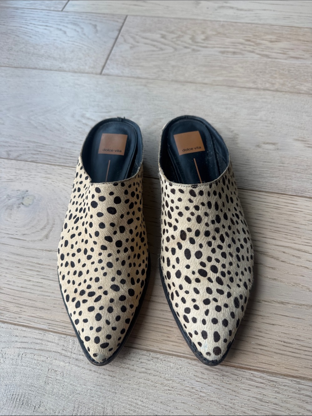 Dolce Vita Aven Point Toe Mules, Leopard, Sz 7.5